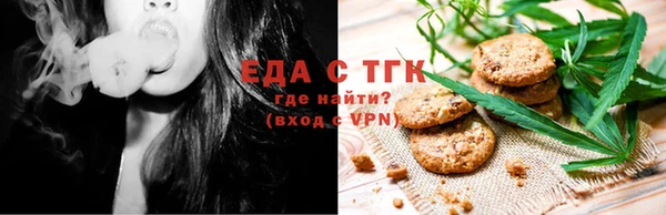 мдпв Каменногорск