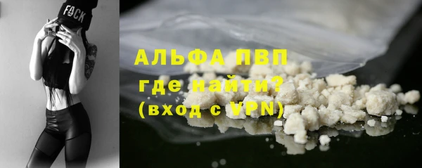 мдпв Каменногорск