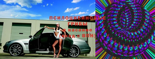 соль ск Каменка