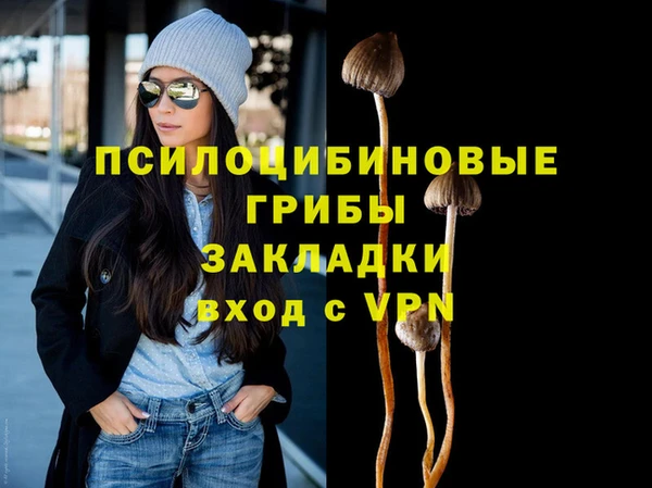 мдпв Каменногорск