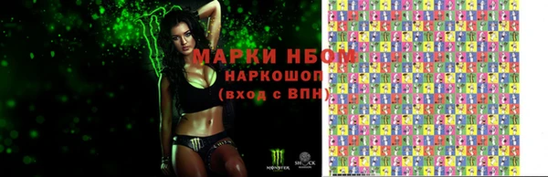 мдпв Каменногорск