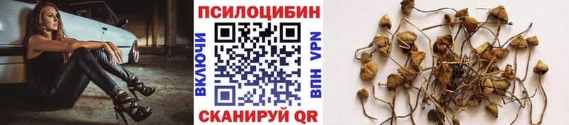 Купить где  Воскресенск  Галлюциногенные грибы Magic Shrooms 